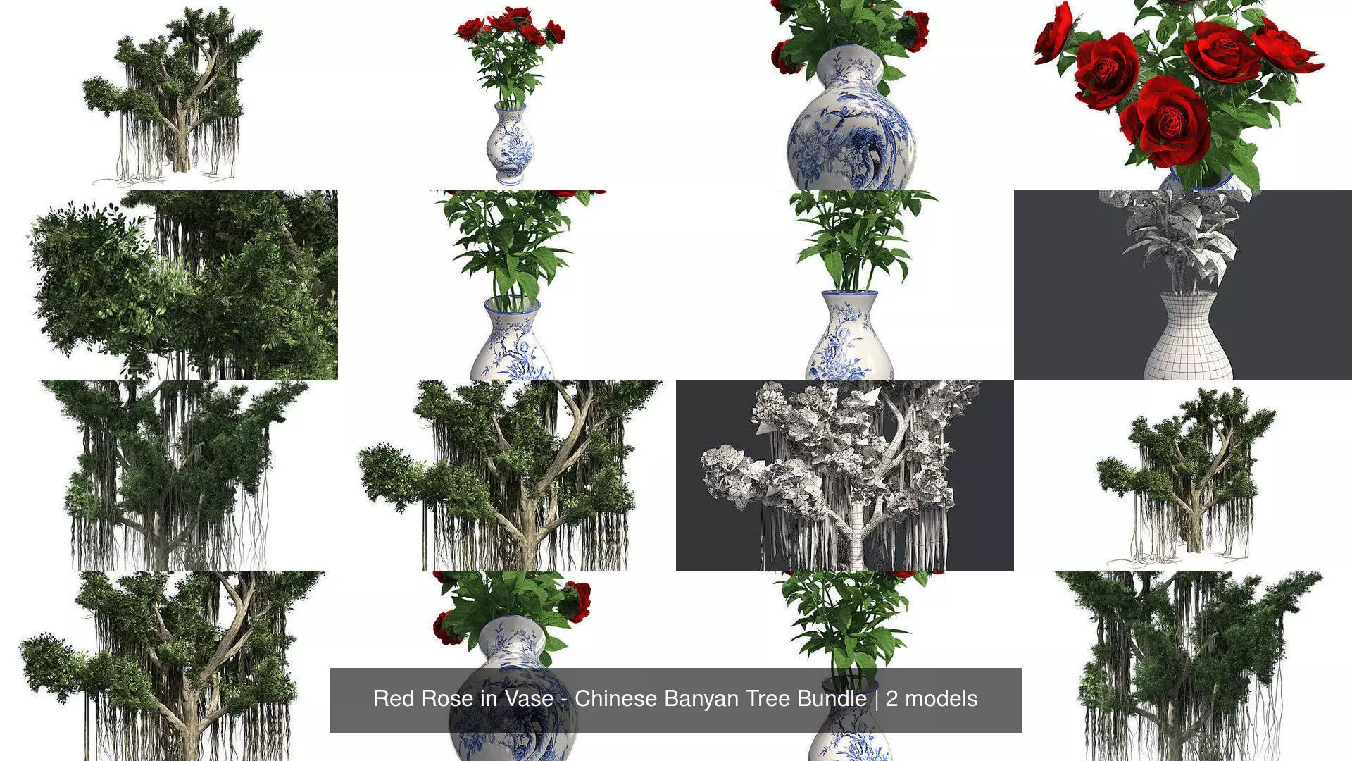 Red Rose in Vase - Chinese Banyan Tree Bundle 3D Model Collection_0
