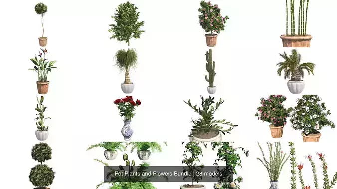 Pot Plants and Flowers Bundle 3D Model Collection