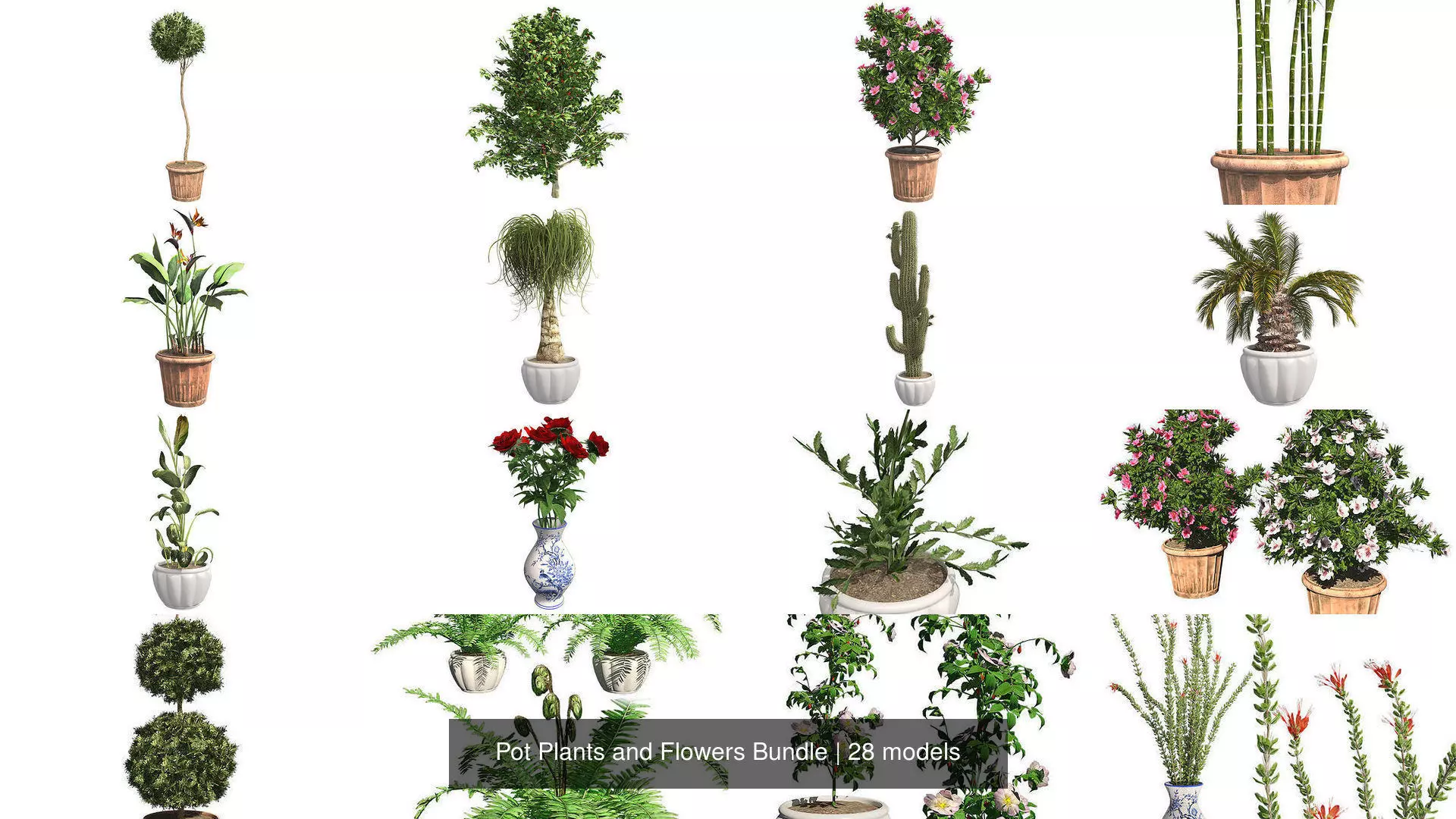 Pot Plants and Flowers Bundle 3D Model Collection_0