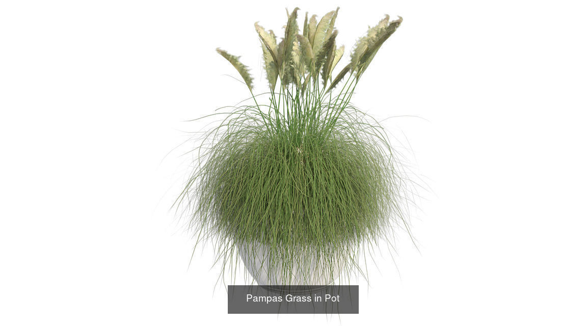 Pot Plants and Flowers Bundle 3D Model Collection_26