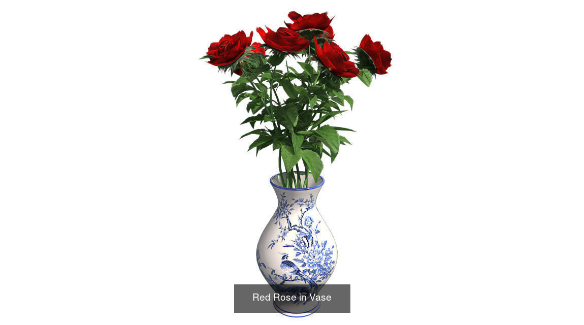 Pot Plants and Flowers Bundle 3D Model Collection_12