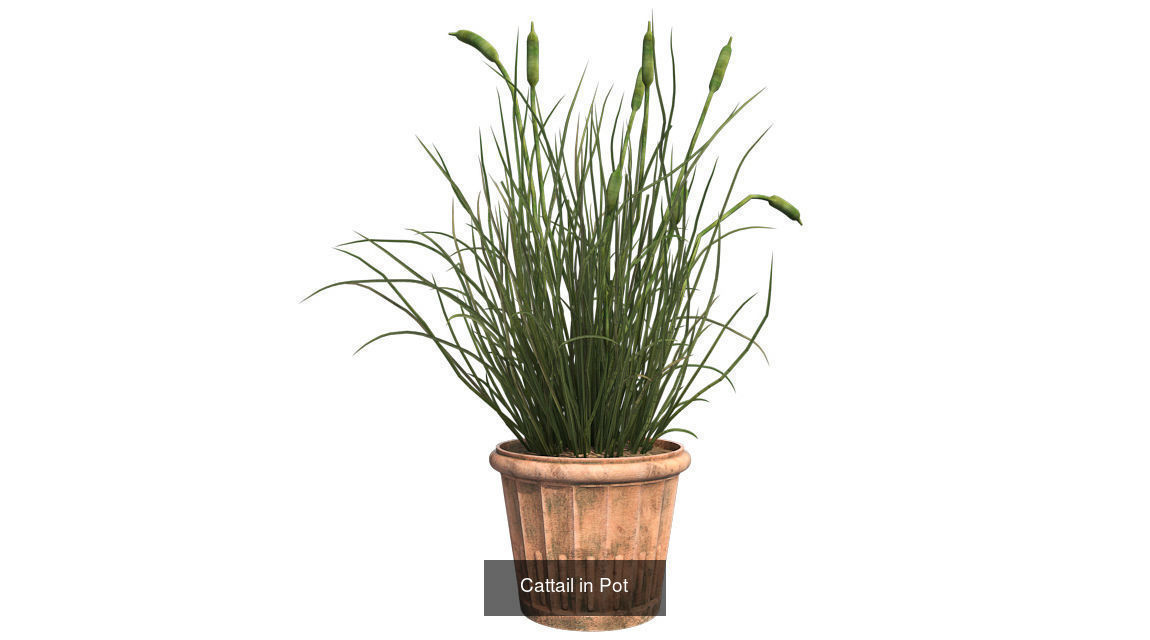 Pot Plants and Flowers Bundle 3D Model Collection_24