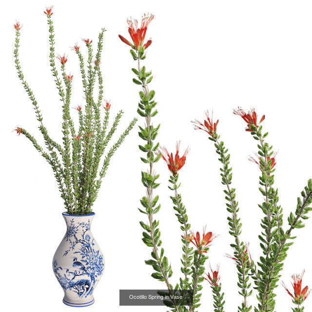 Pot Plants and Flowers Bundle 3D Model Collection_18