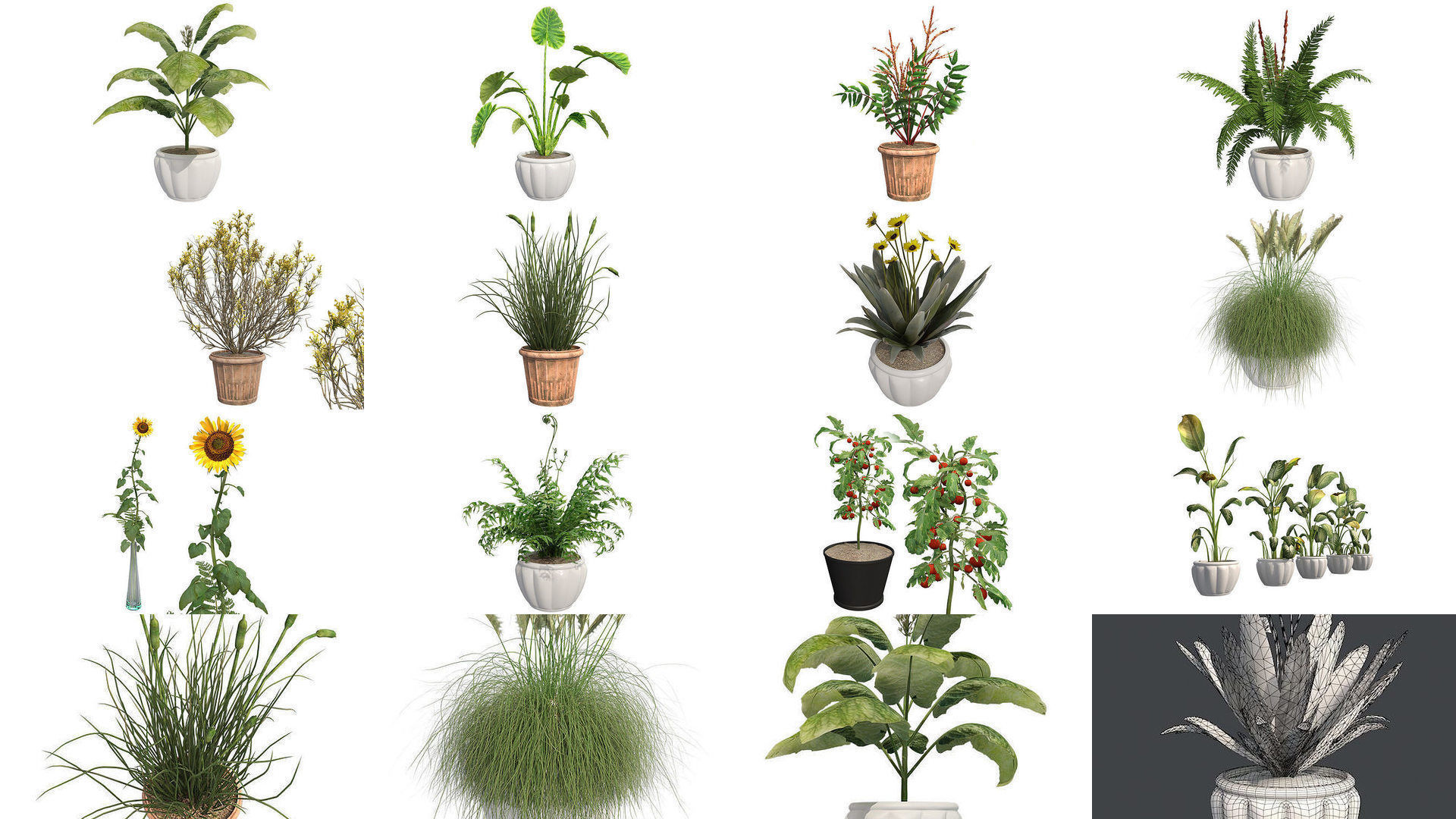 Pot Plants and Flowers Bundle 3D Model Collection_1