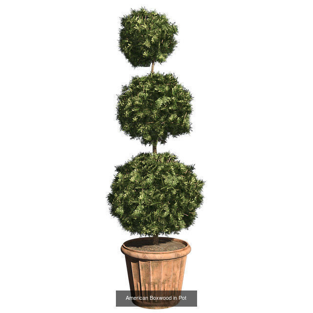Pot Plants and Flowers Bundle 3D Model Collection_15