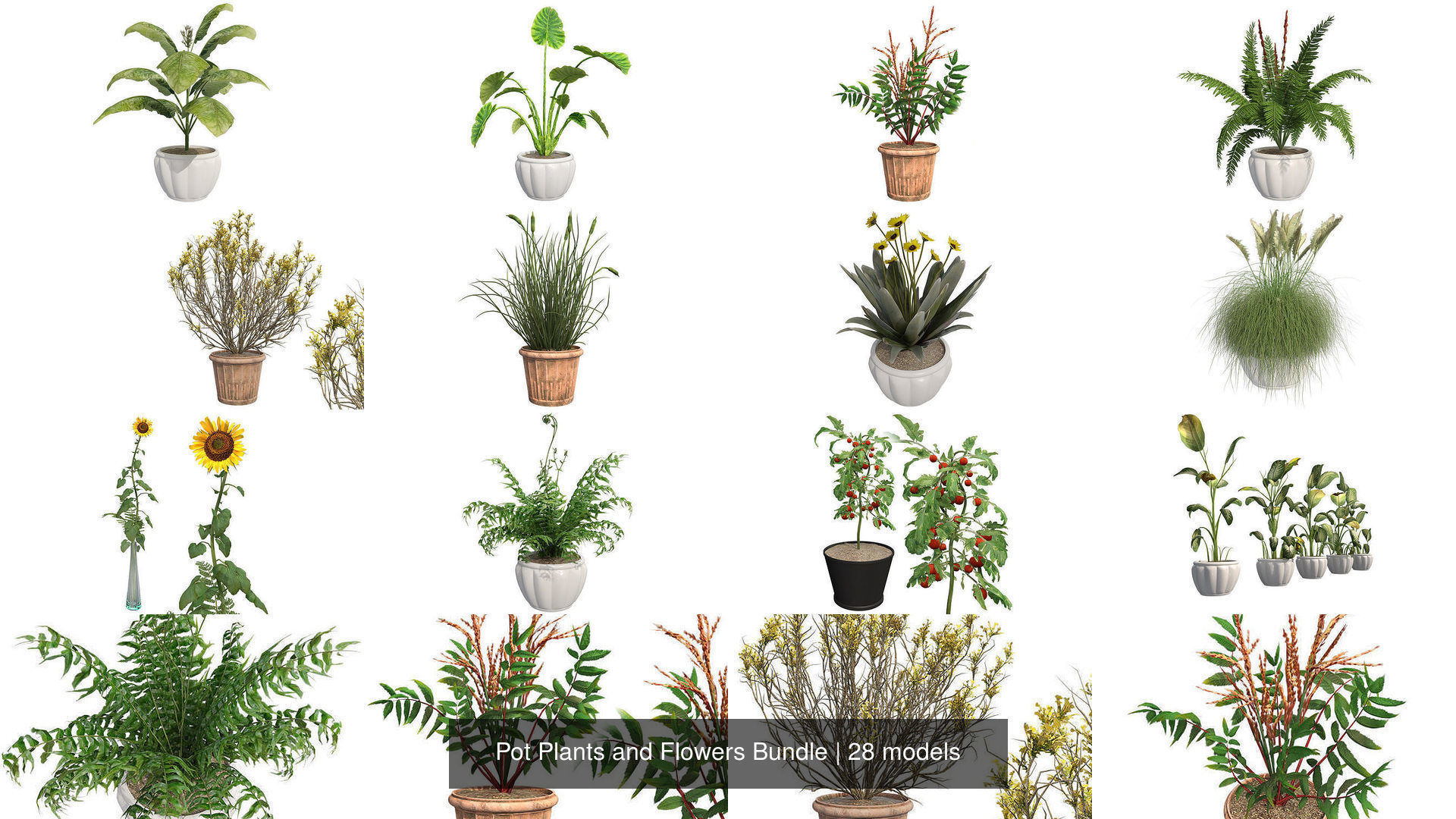 Pot Plants and Flowers Bundle 3D Model Collection_2