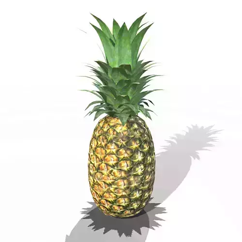 Pineapple