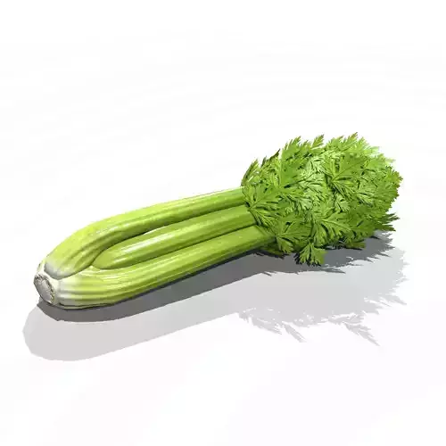 Celery