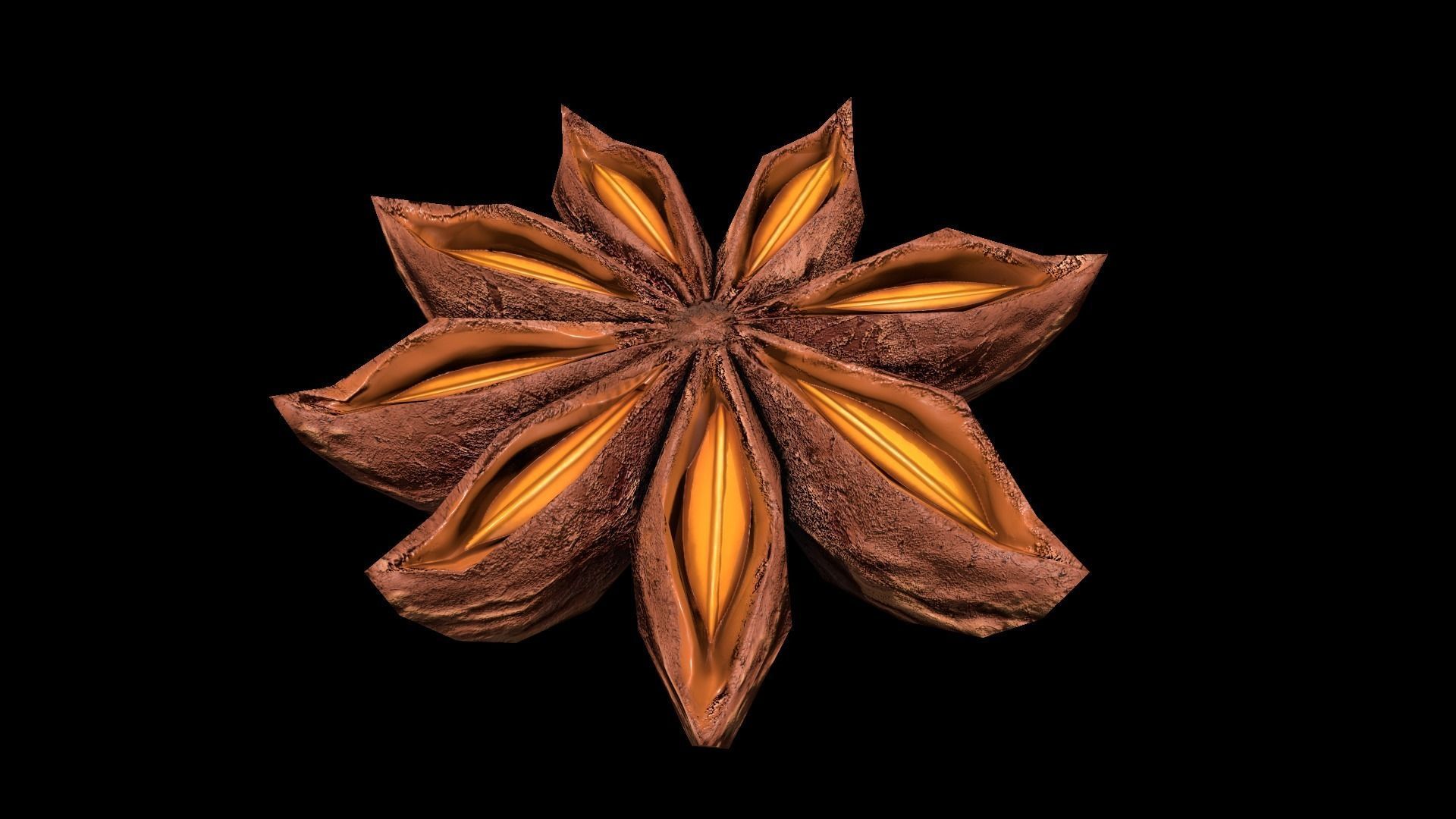 AniseStar Low-poly 3D model_9