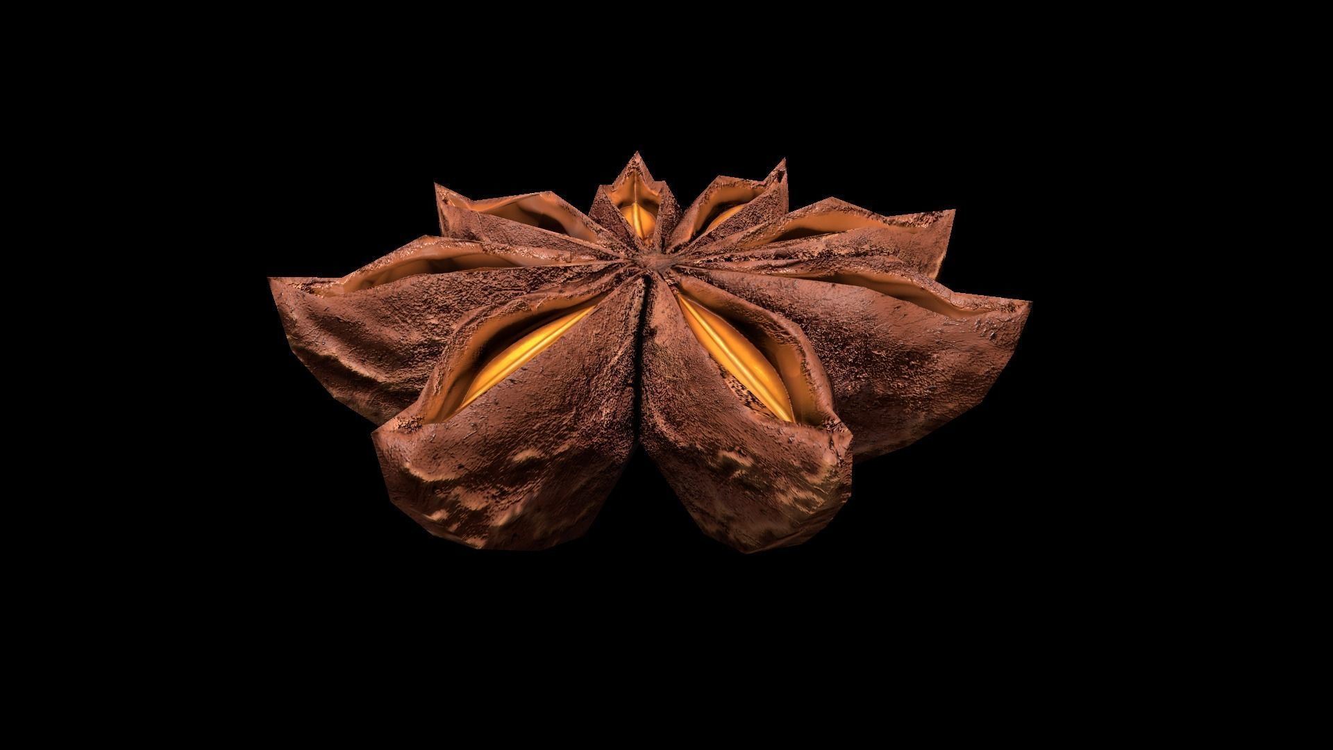 AniseStar Low-poly 3D model_5