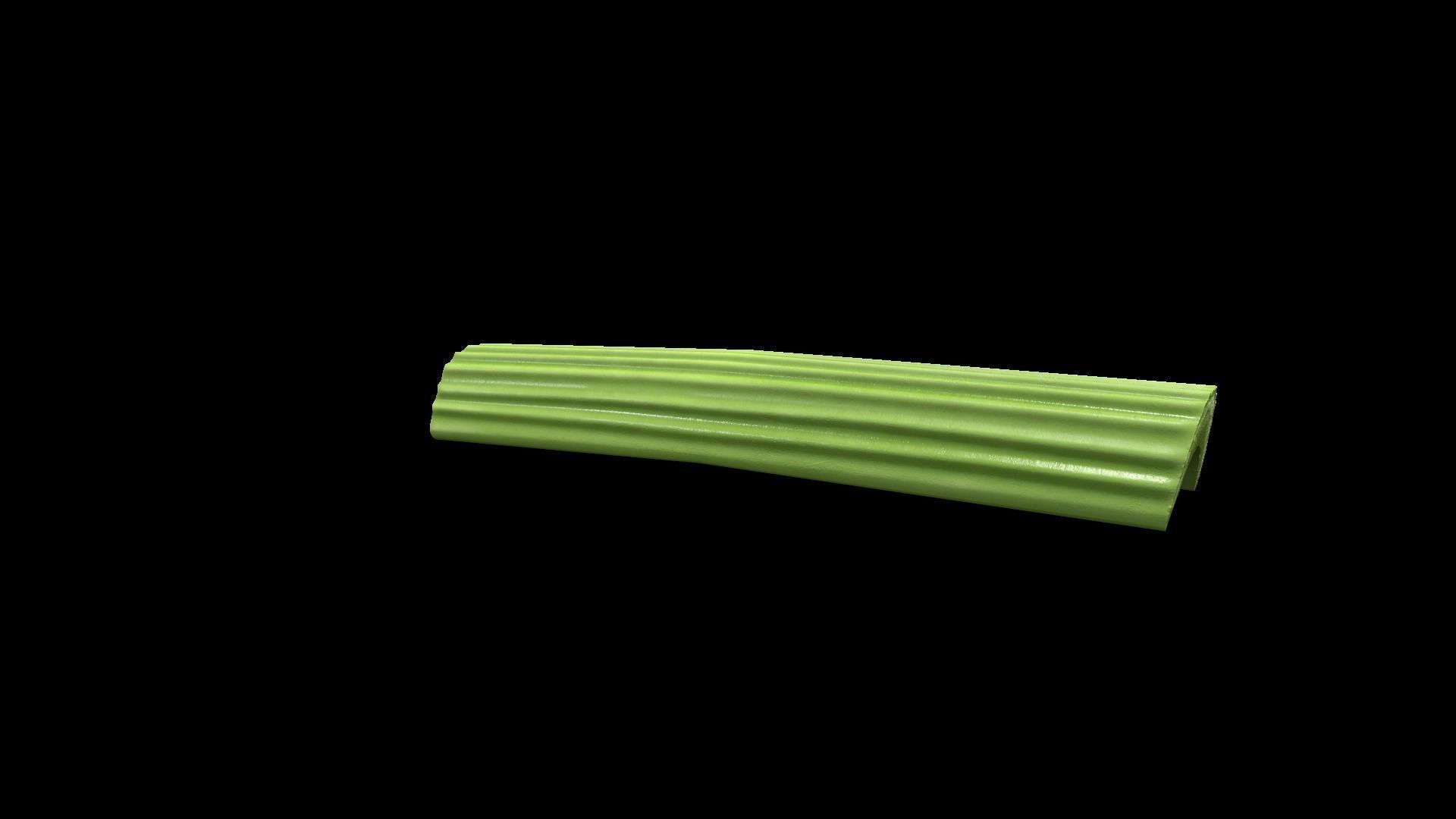 CelerySlice Low-poly 3D model_2