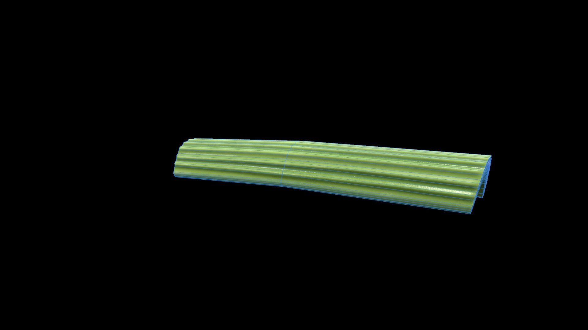 CelerySlice Low-poly 3D model_9