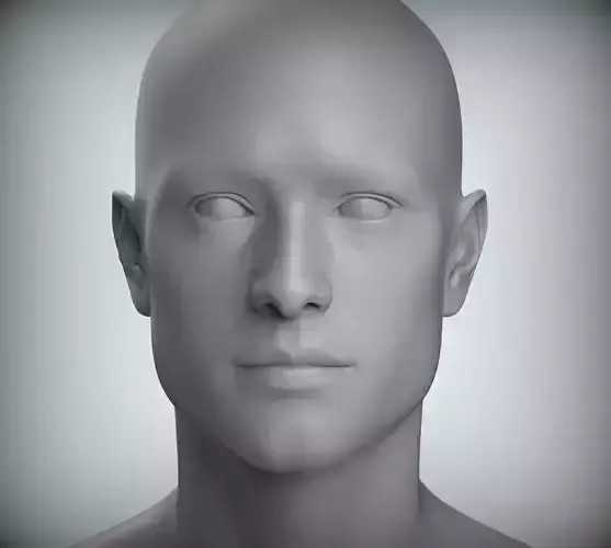 8 Male Head Sculpt 01 3D model Low-poly 3D model