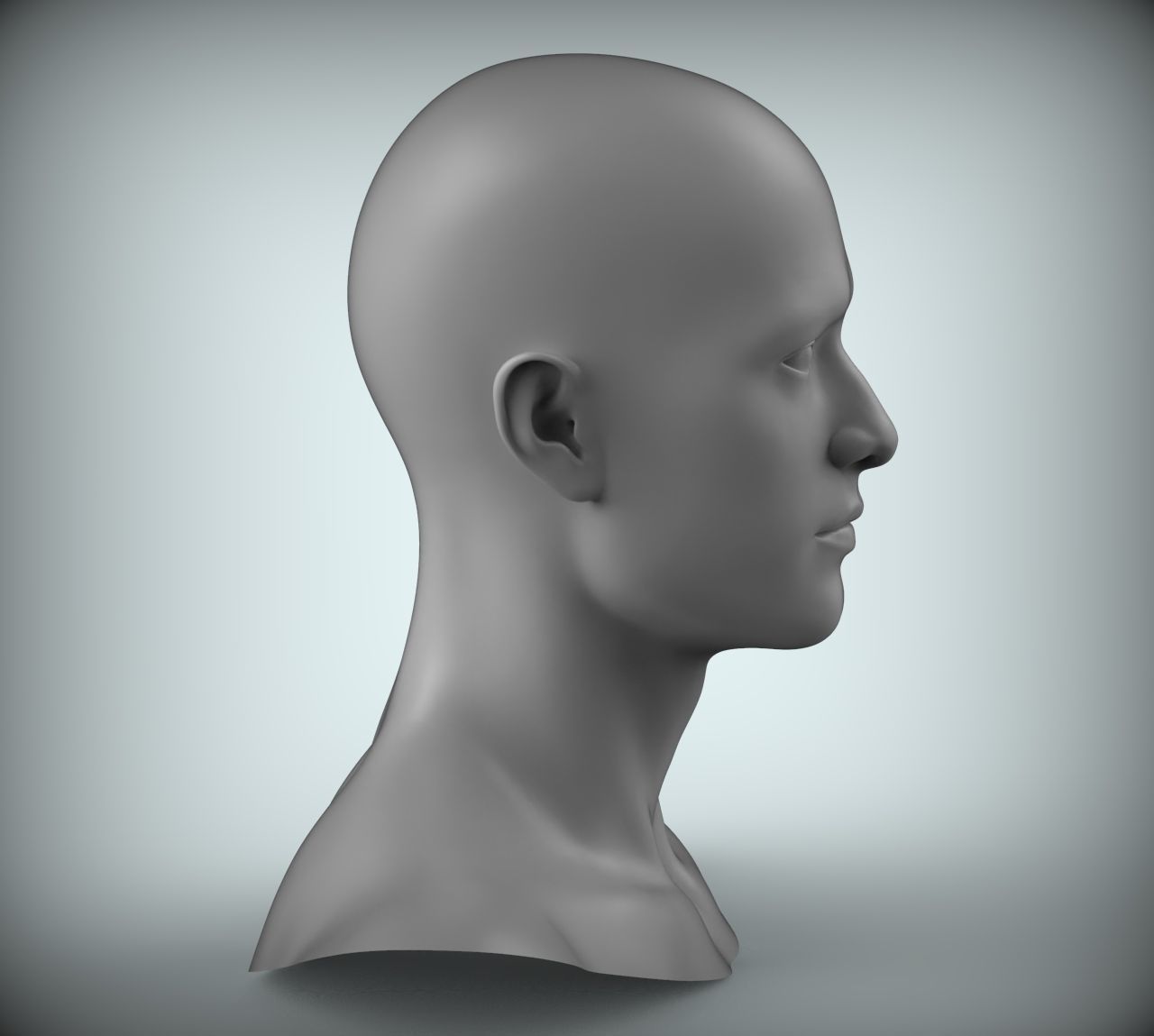 8 Male Head Sculpt 01 3D model Low-poly 3D model_4