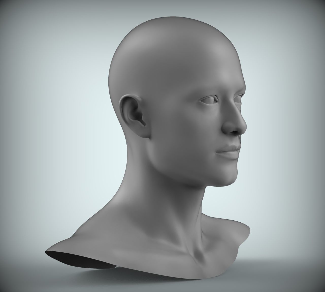 8 Male Head Sculpt 01 3D model Low-poly 3D model_3