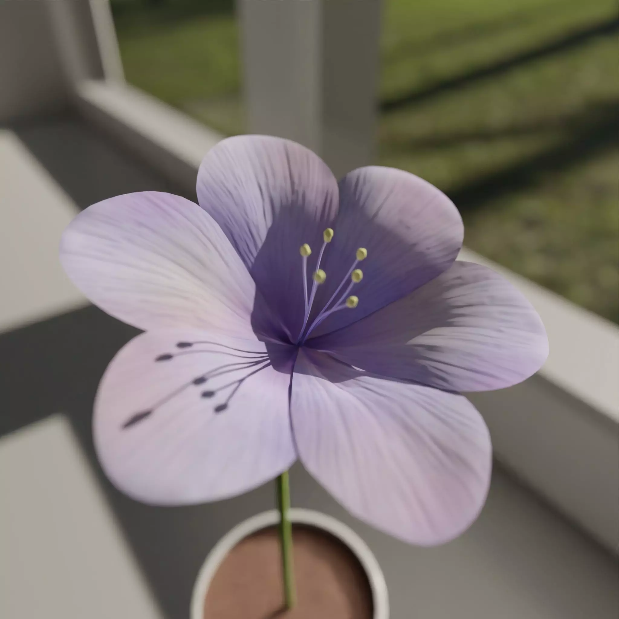 Flower in vase Polemonium caeruleum Low-poly 3D model_0