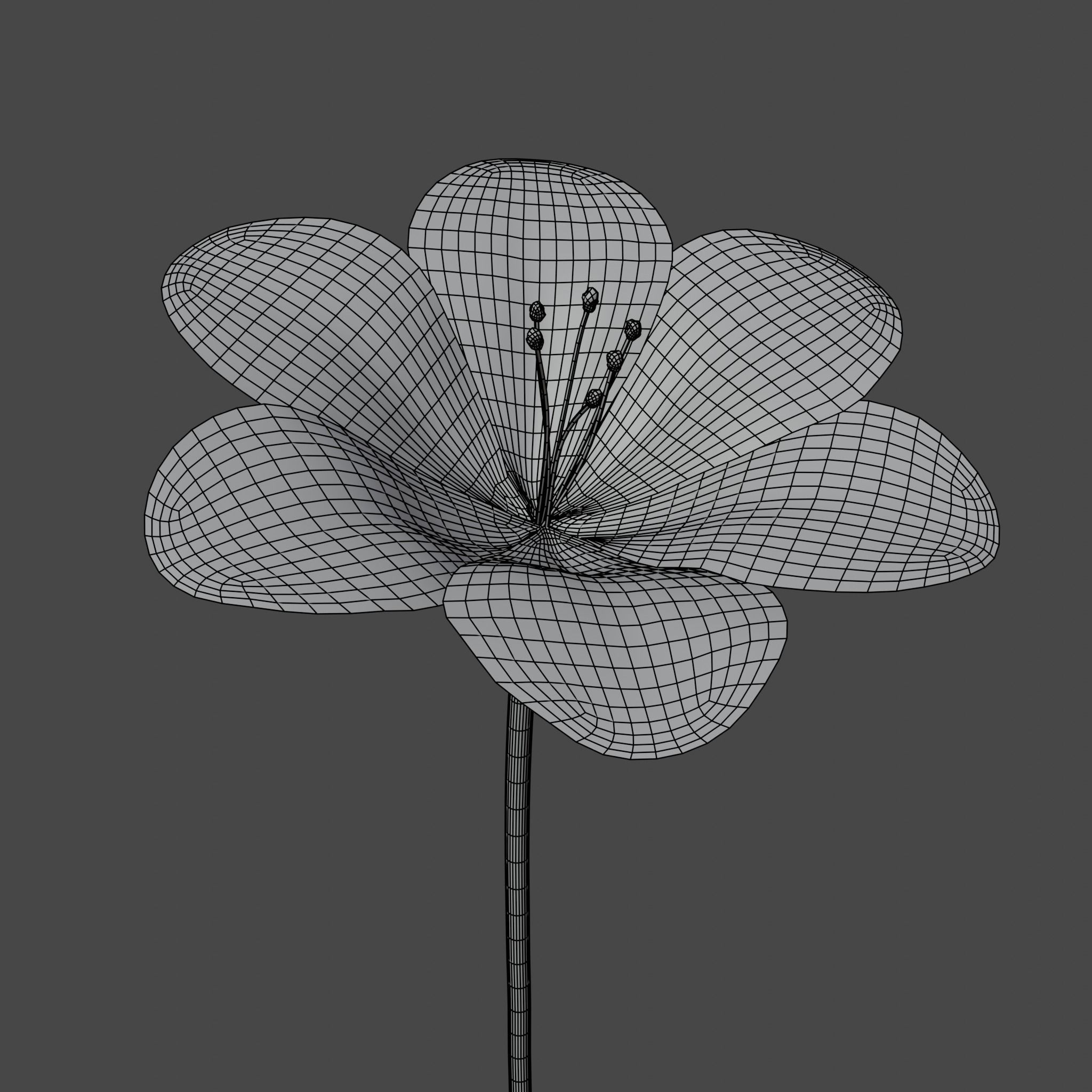 Flower in vase Polemonium caeruleum Low-poly 3D model_3