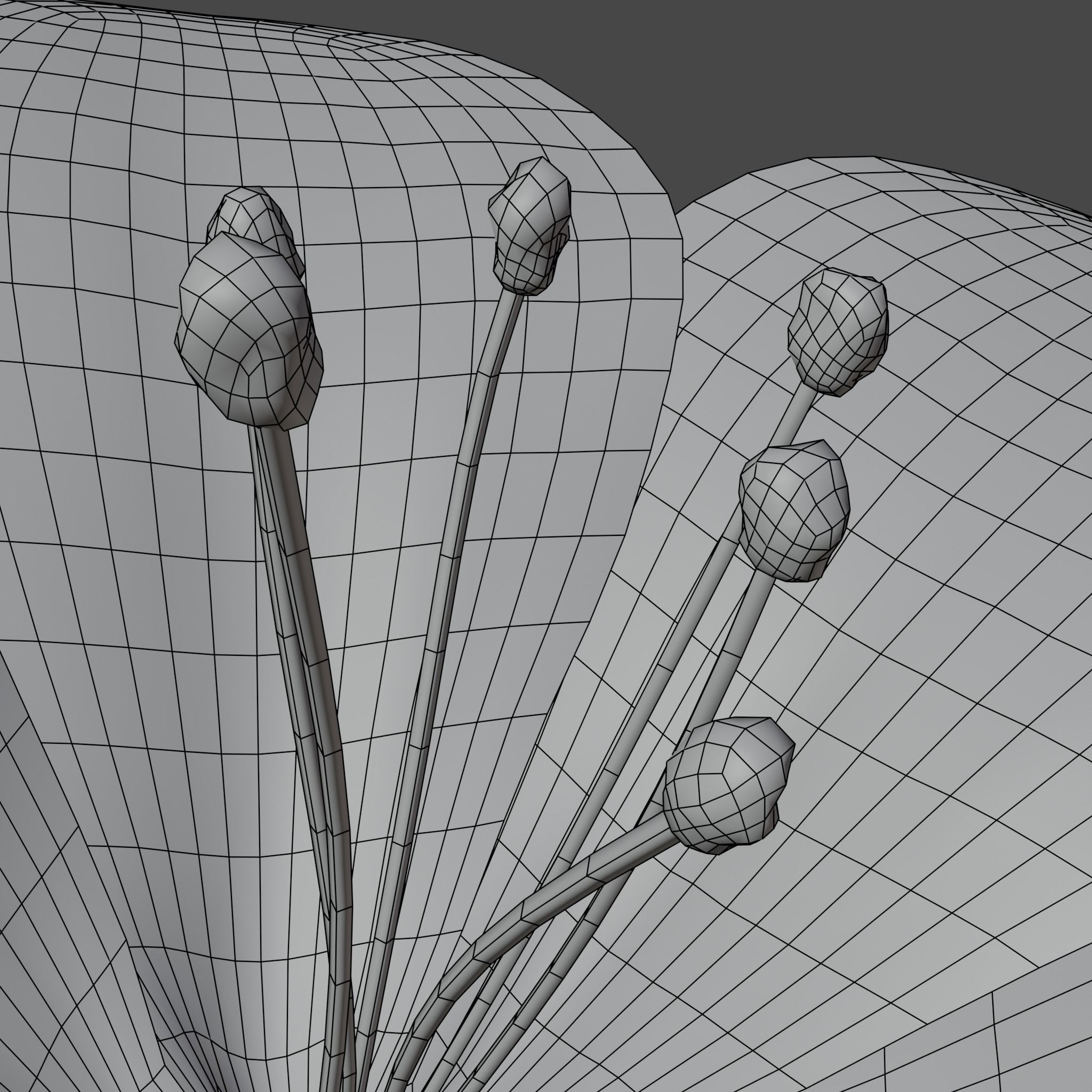 Flower in vase Polemonium caeruleum Low-poly 3D model_4