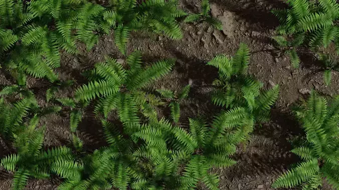 Fern weed Low-poly 3D model