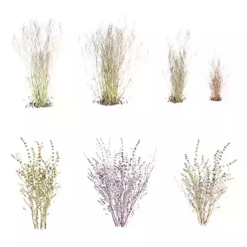 Low poly wild grass collection vol 201 Low-poly 3D model