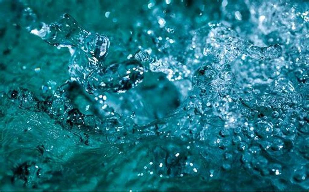 water  bottel Free 3D model_9