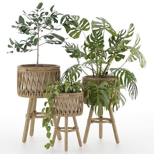 Plant-set-002 3D model