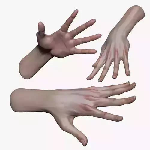 Female Pro Hand Sculpt Project