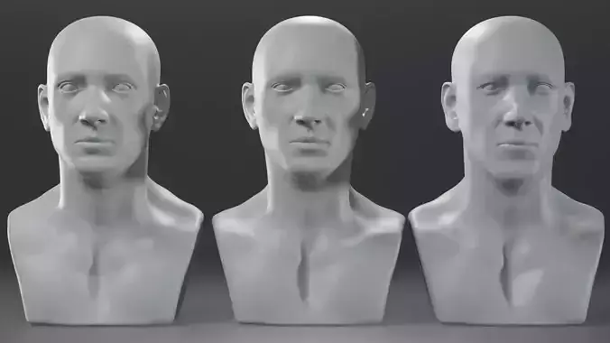 Basemesh Male Head