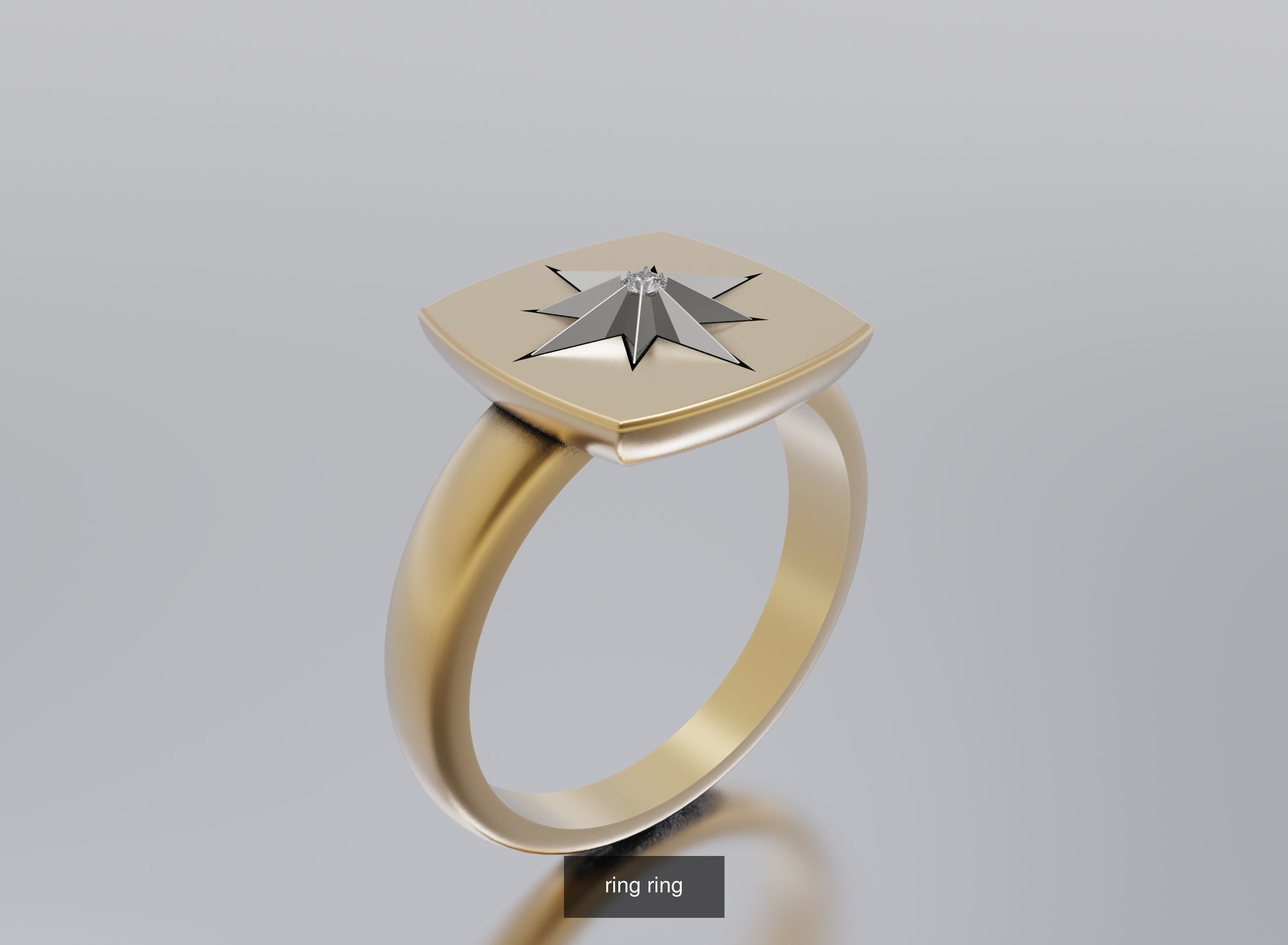 rings and pendants 3D Model Collection_104