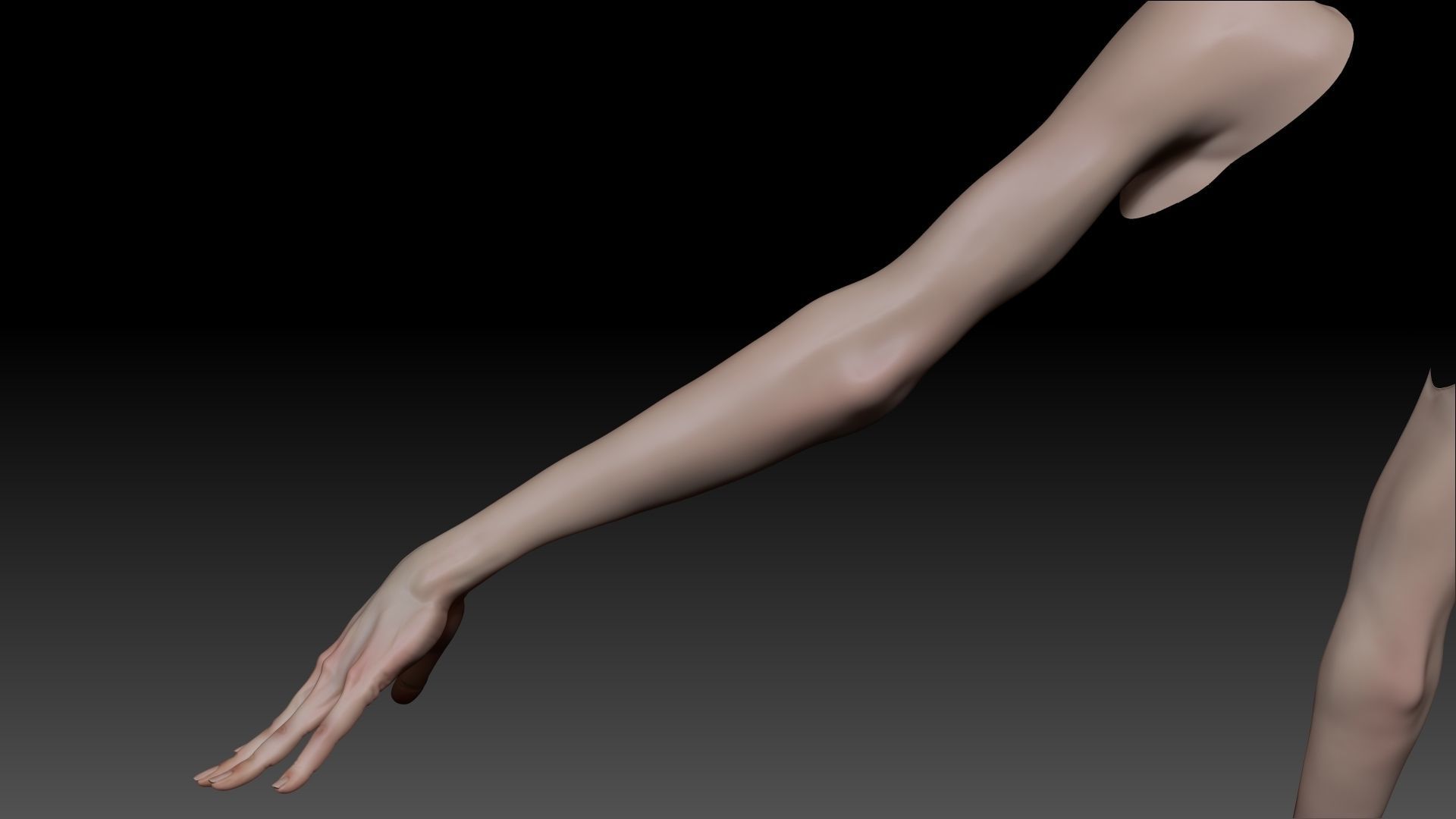 Female Pro Arm Sculpt Project 3D model_7
