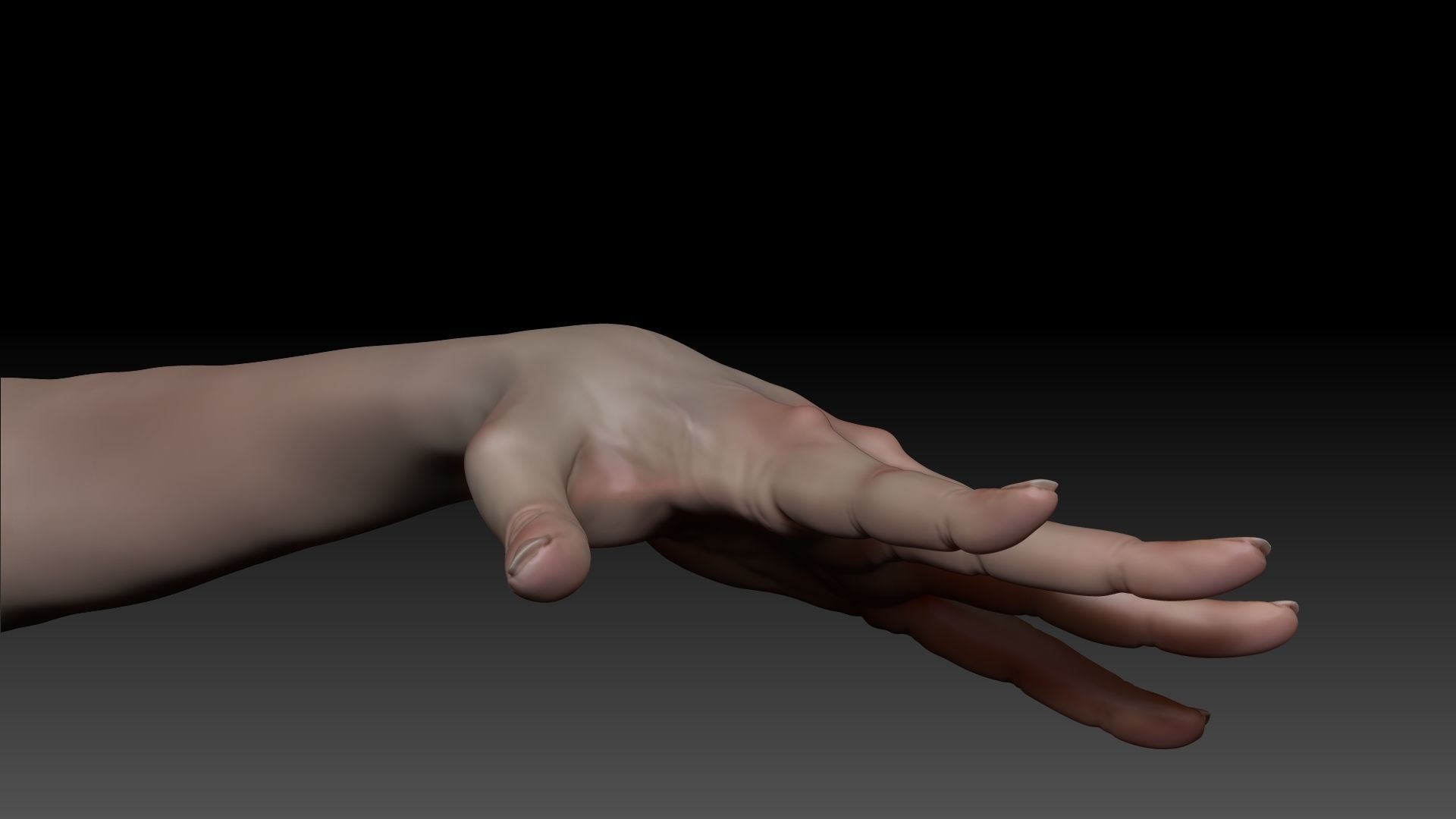 Female Pro Arm Sculpt Project 3D model_4