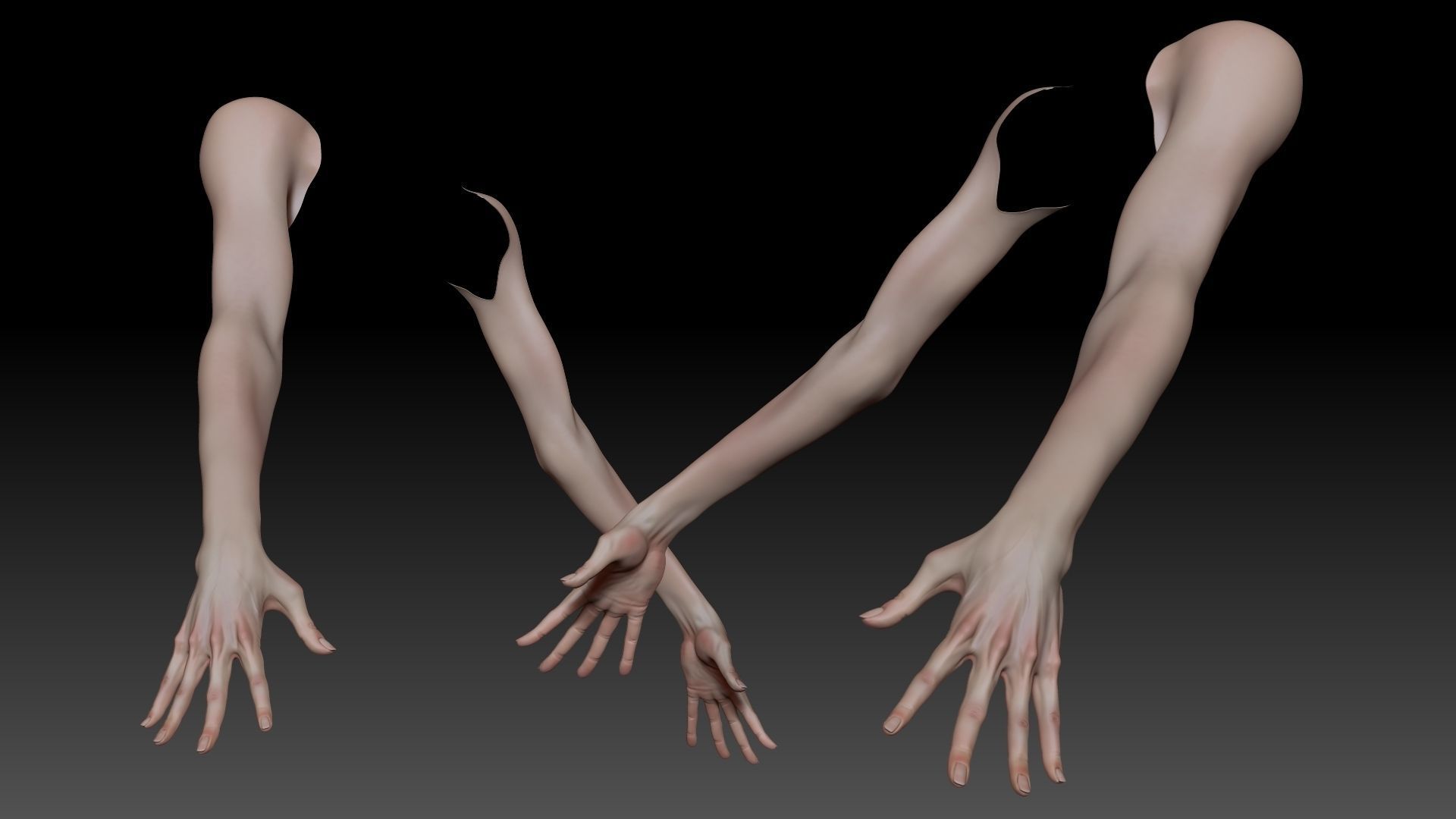 Female Pro Arm Sculpt Project 3D model_1