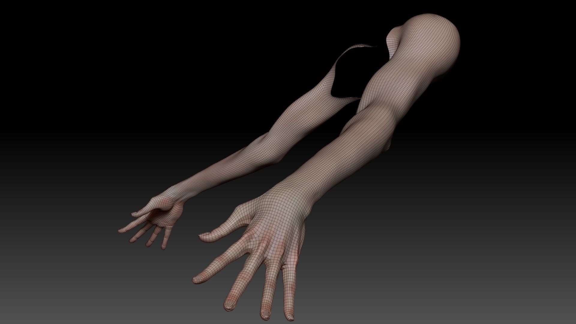 Female Pro Arm Sculpt Project 3D model_15