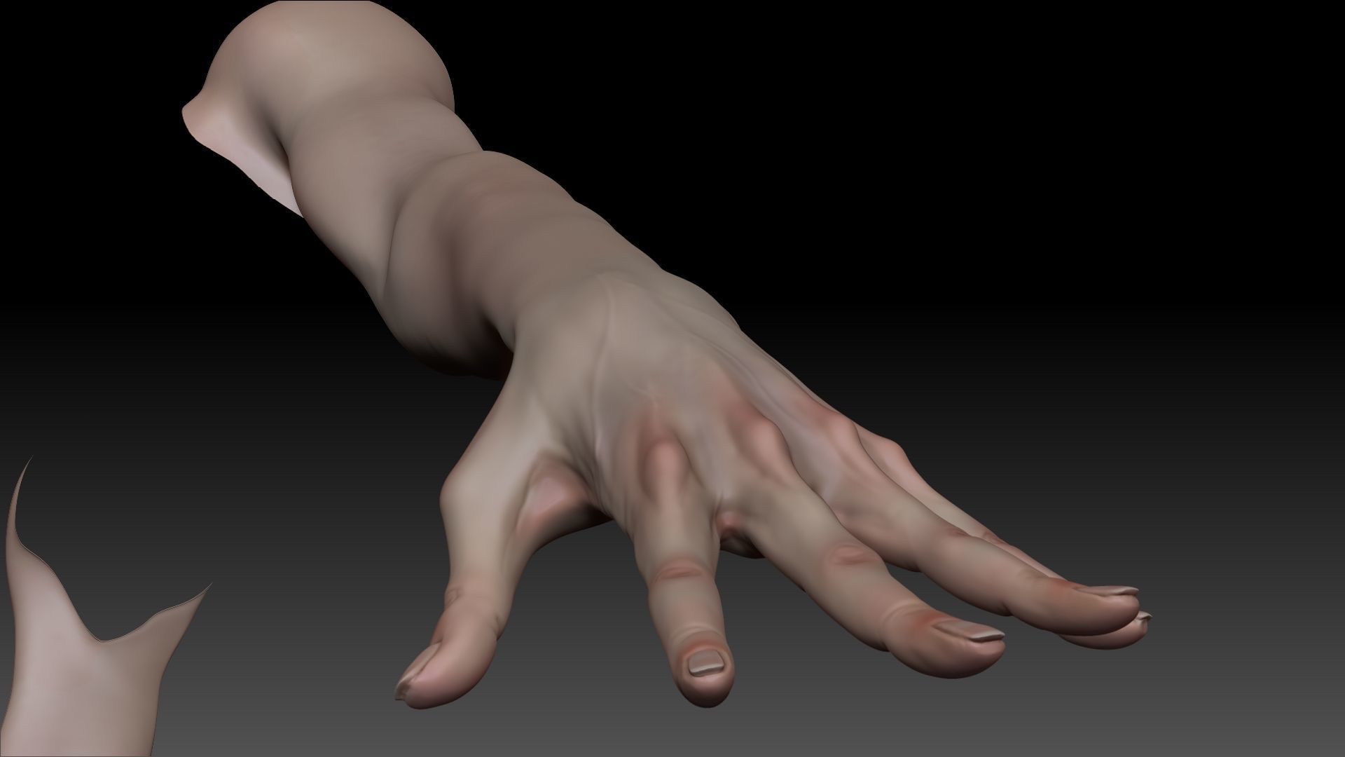 Female Pro Arm Sculpt Project 3D model_2