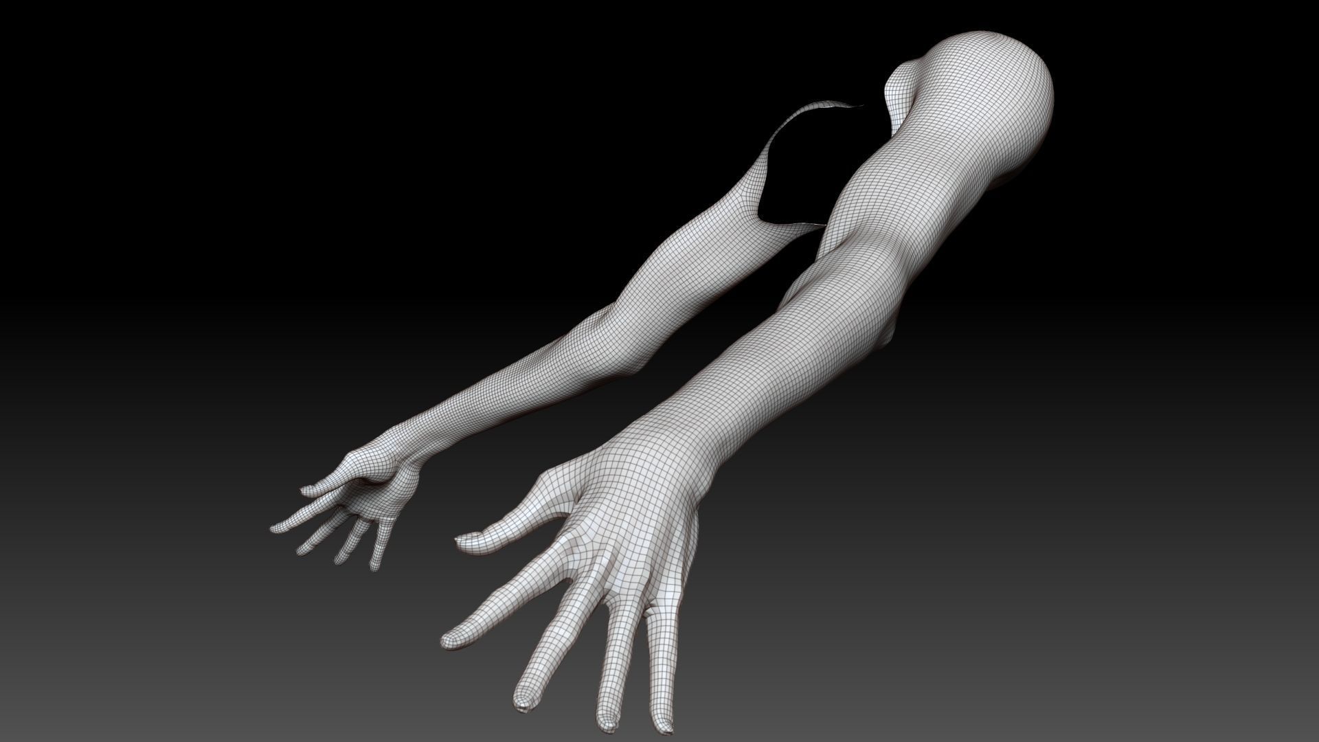 Female Pro Arm Sculpt Project 3D model_16