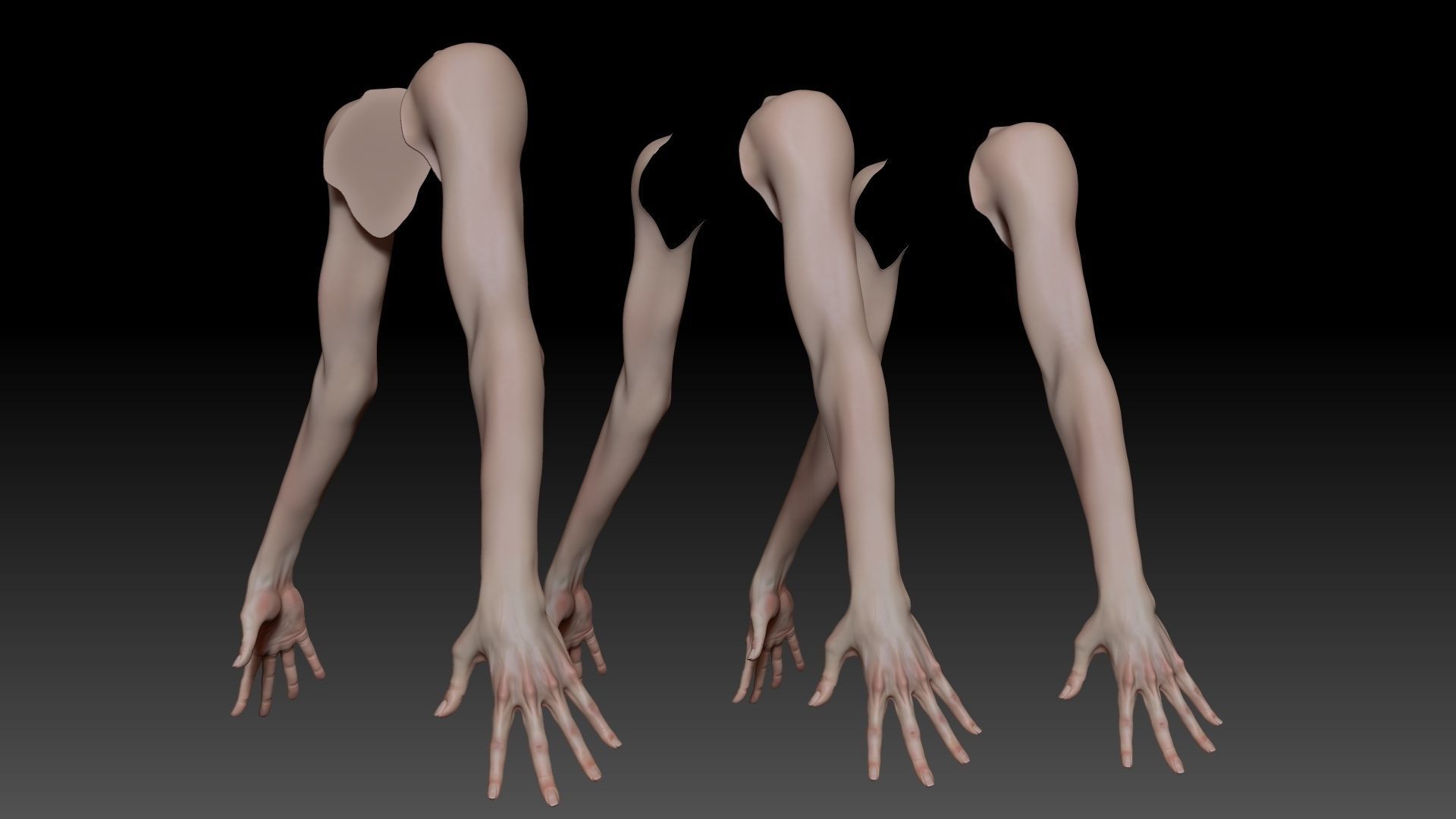 Female Pro Arm Sculpt Project 3D model_12