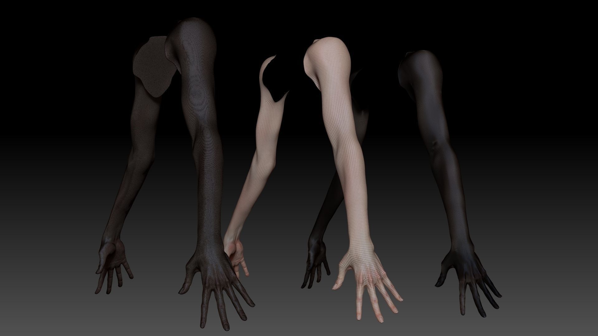 Female Pro Arm Sculpt Project 3D model_14