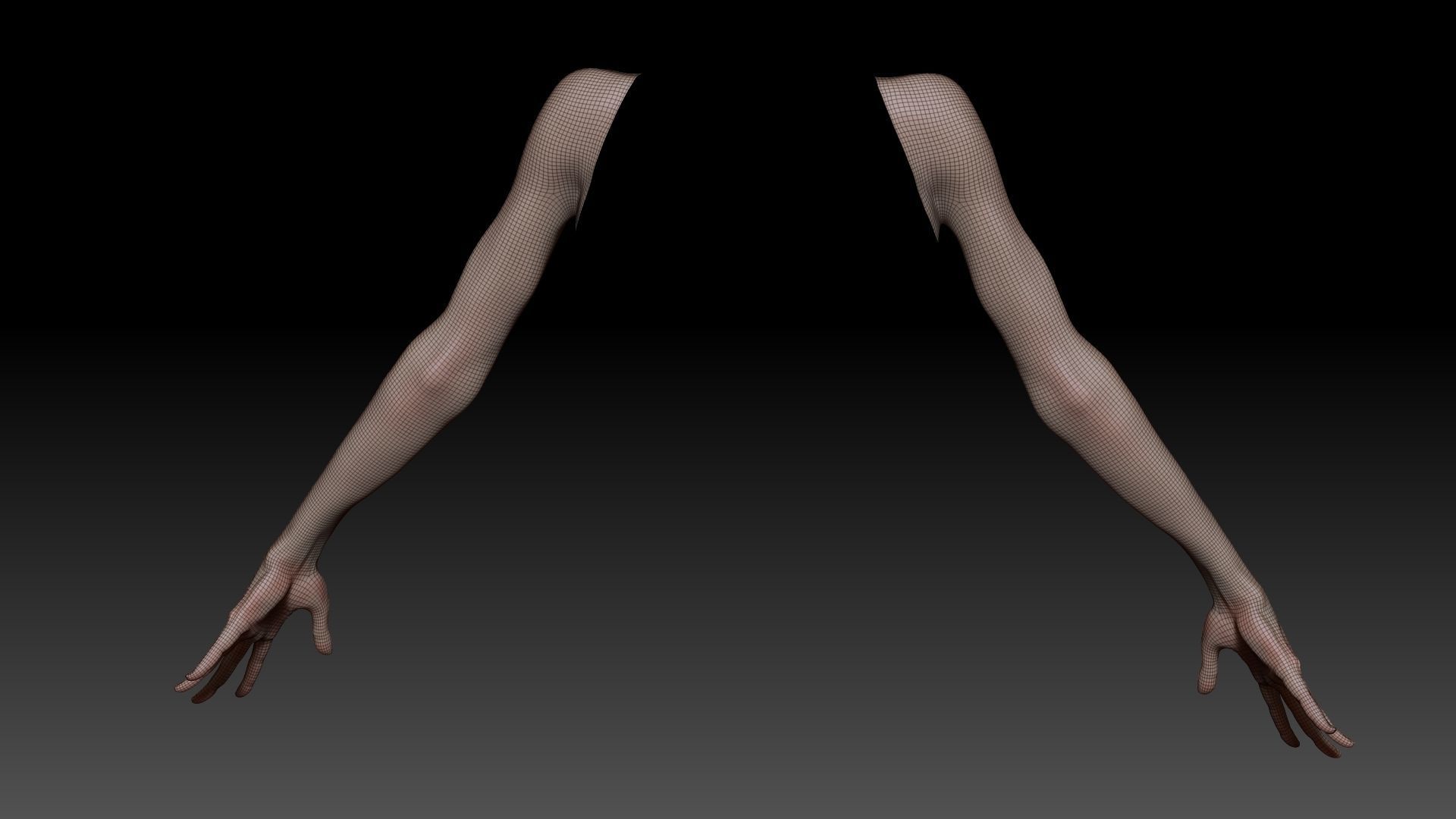Female Pro Arm Sculpt Project 3D model_17