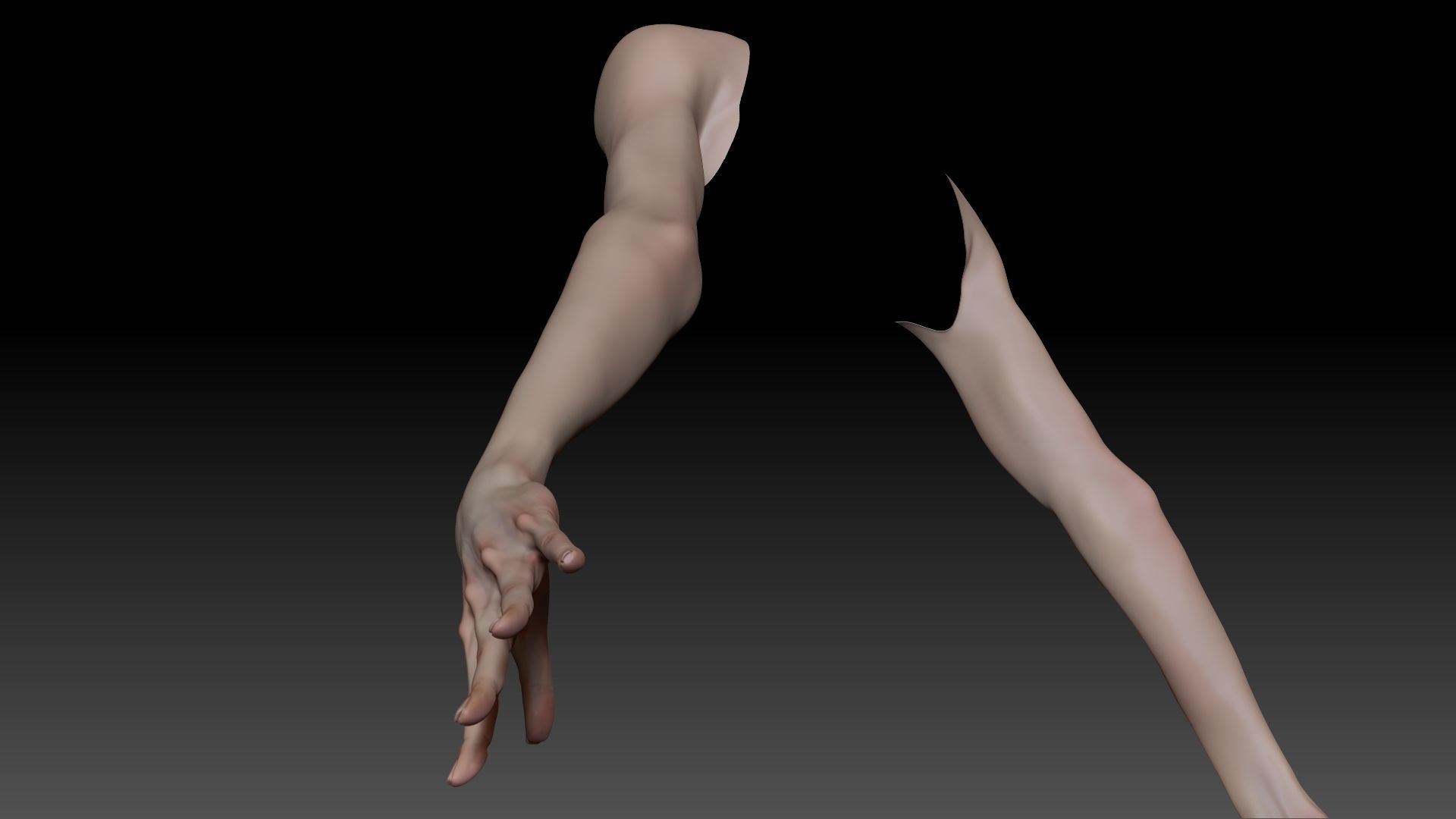 Female Pro Arm Sculpt Project 3D model_11
