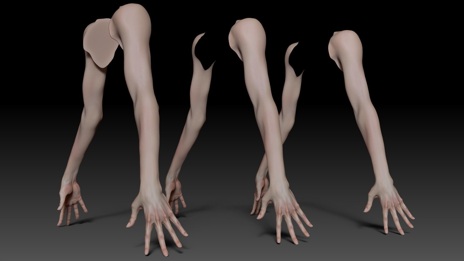 Female Pro Arm Sculpt Project 3D model_18