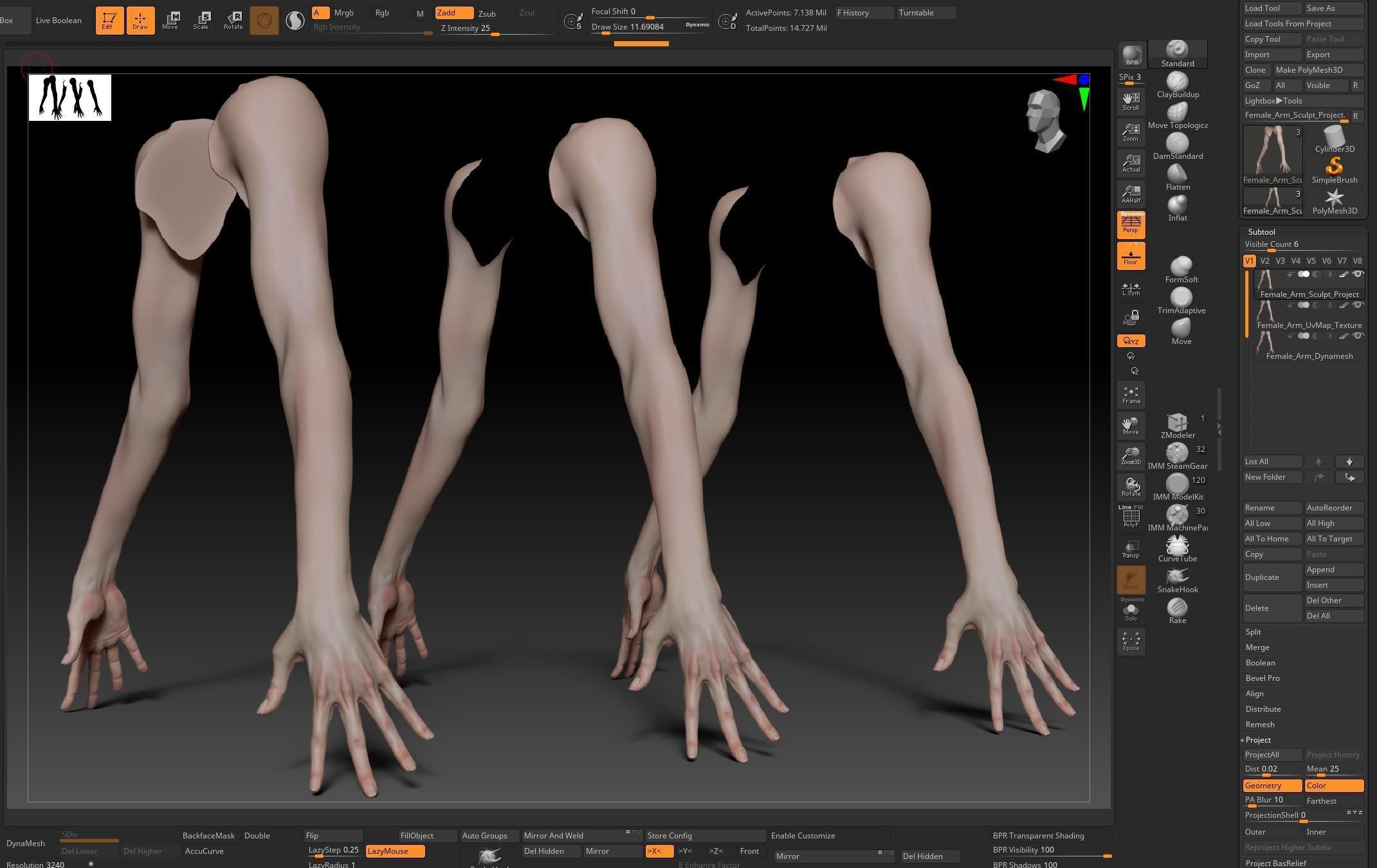 Female Pro Arm Sculpt Project 3D model_19