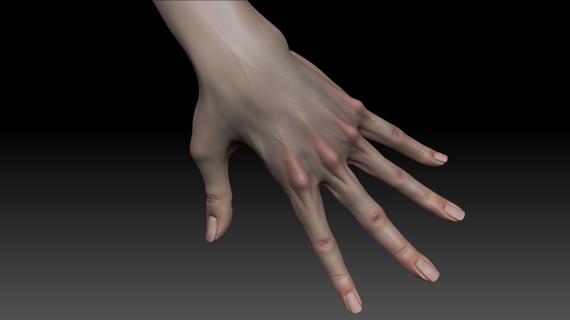Female Pro Arm Sculpt Project 3D model_5