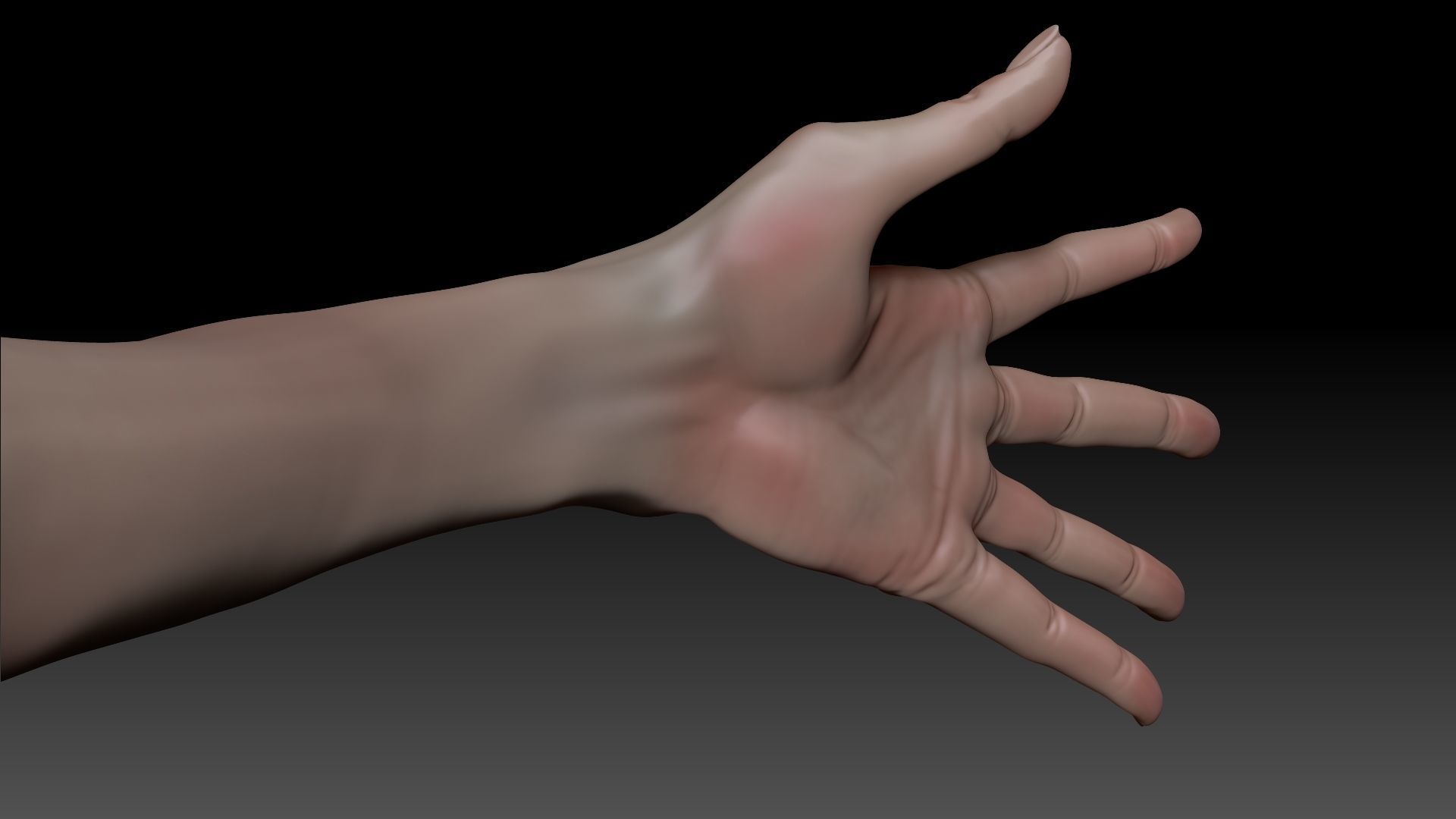 Female Pro Arm Sculpt Project 3D model_3