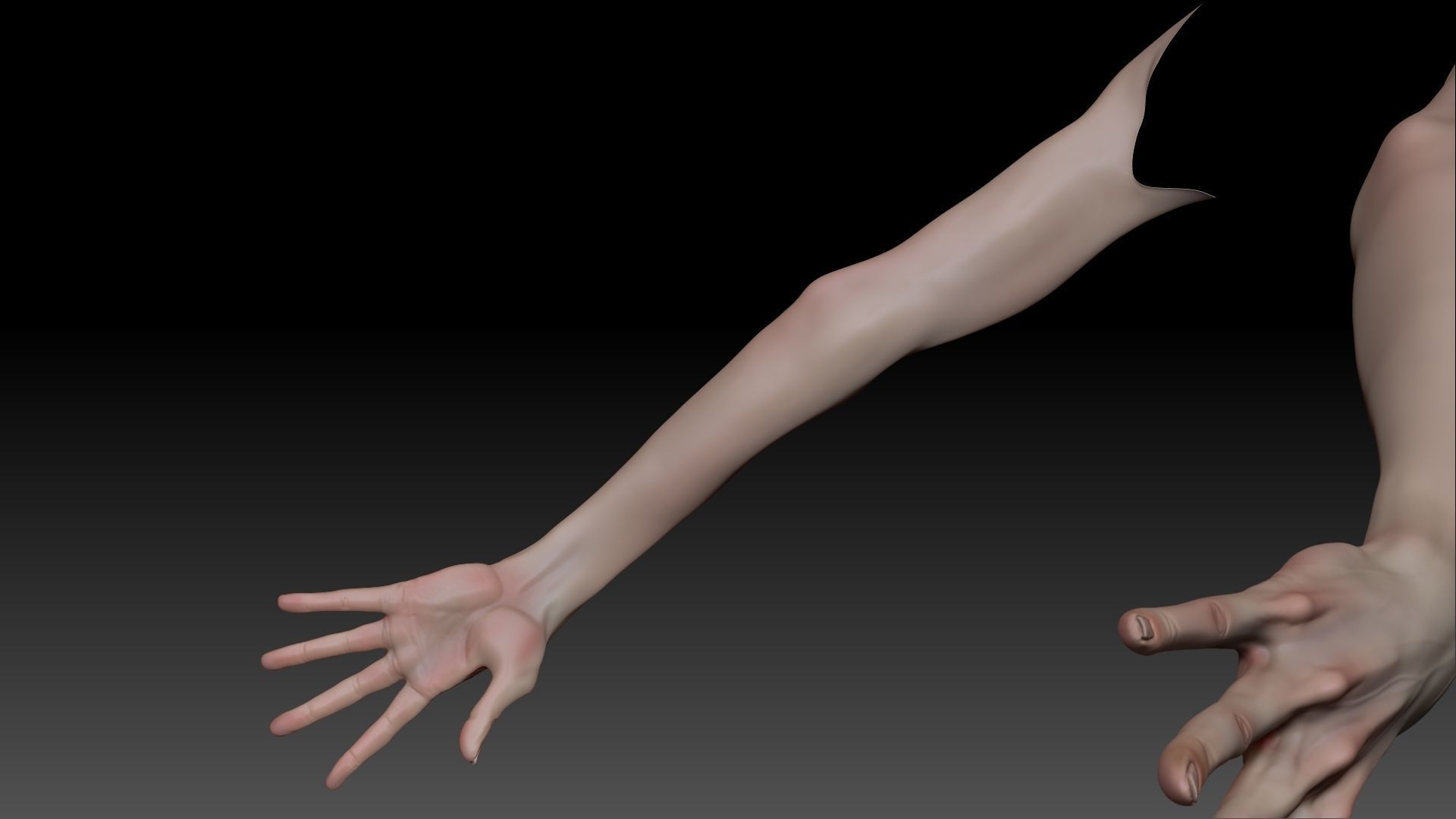 Female Pro Arm Sculpt Project 3D model_9