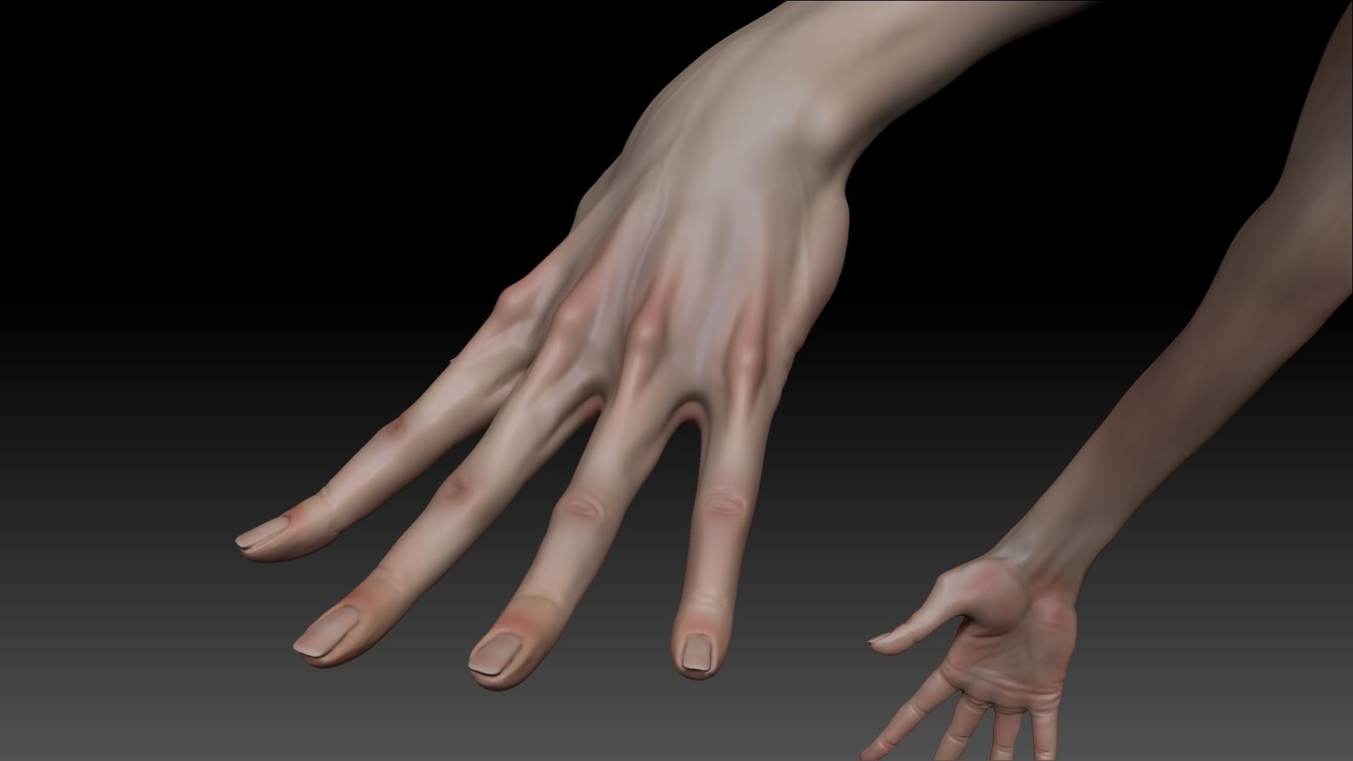 Female Pro Arm Sculpt Project 3D model_6