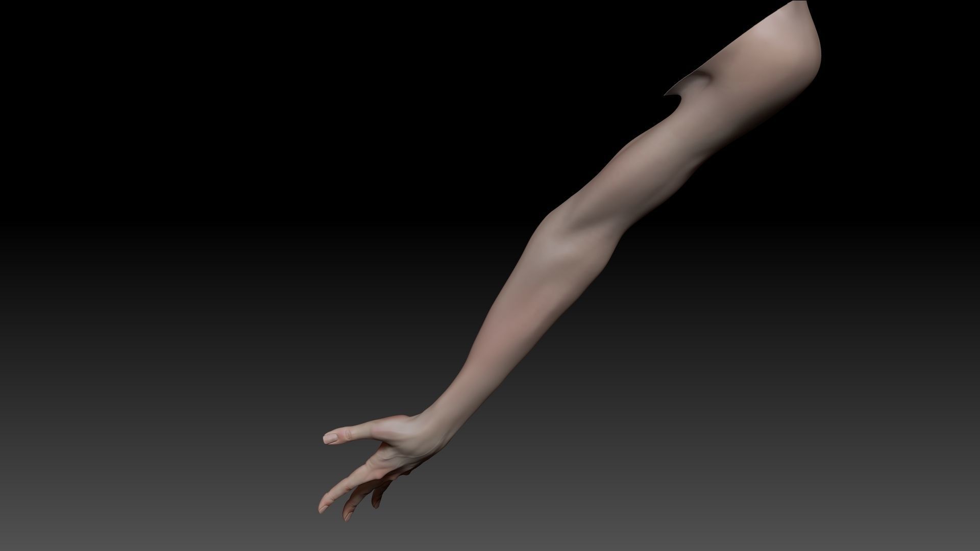 Female Pro Arm Sculpt Project 3D model_10