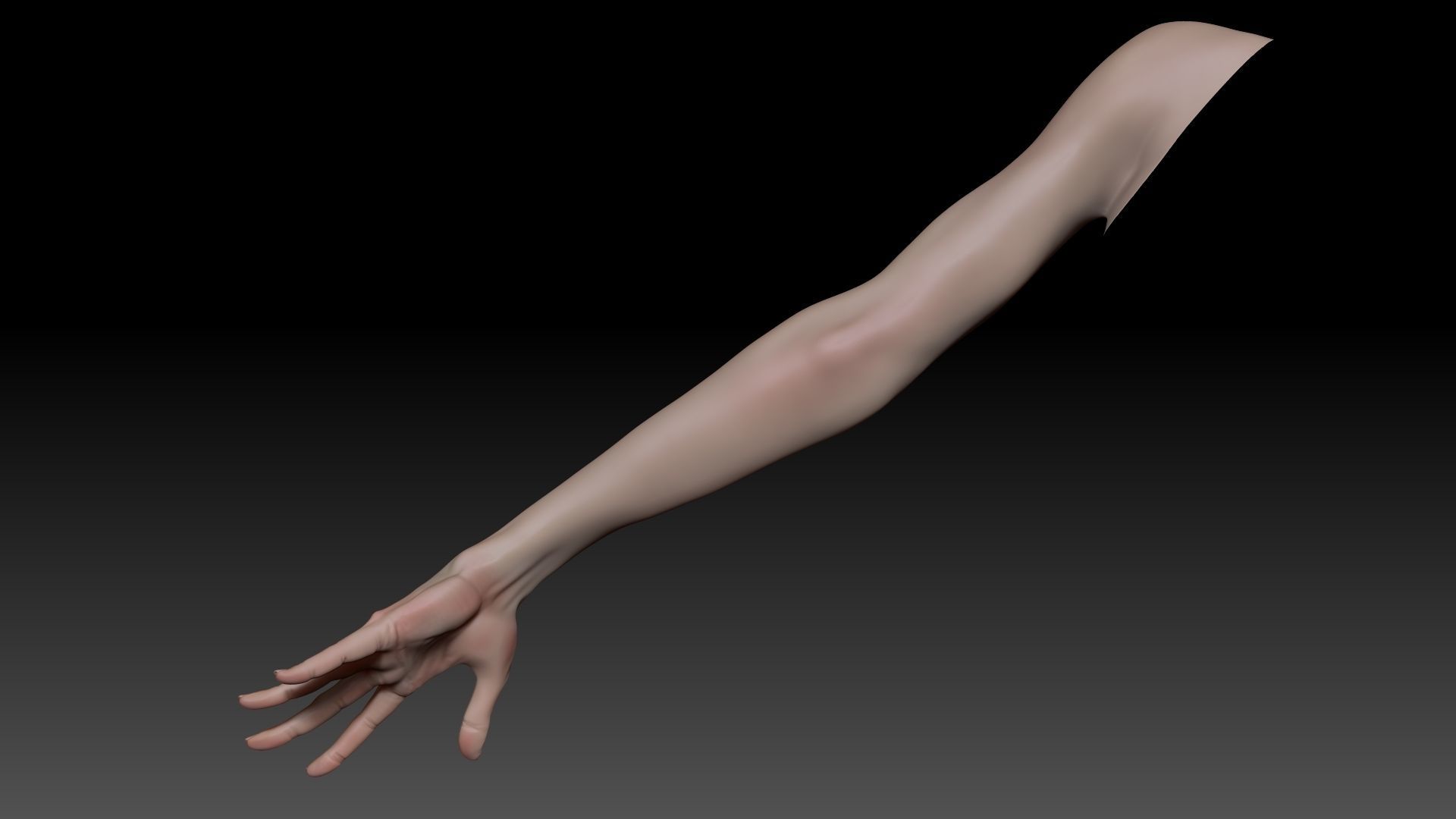 Female Pro Arm Sculpt Project 3D model_8