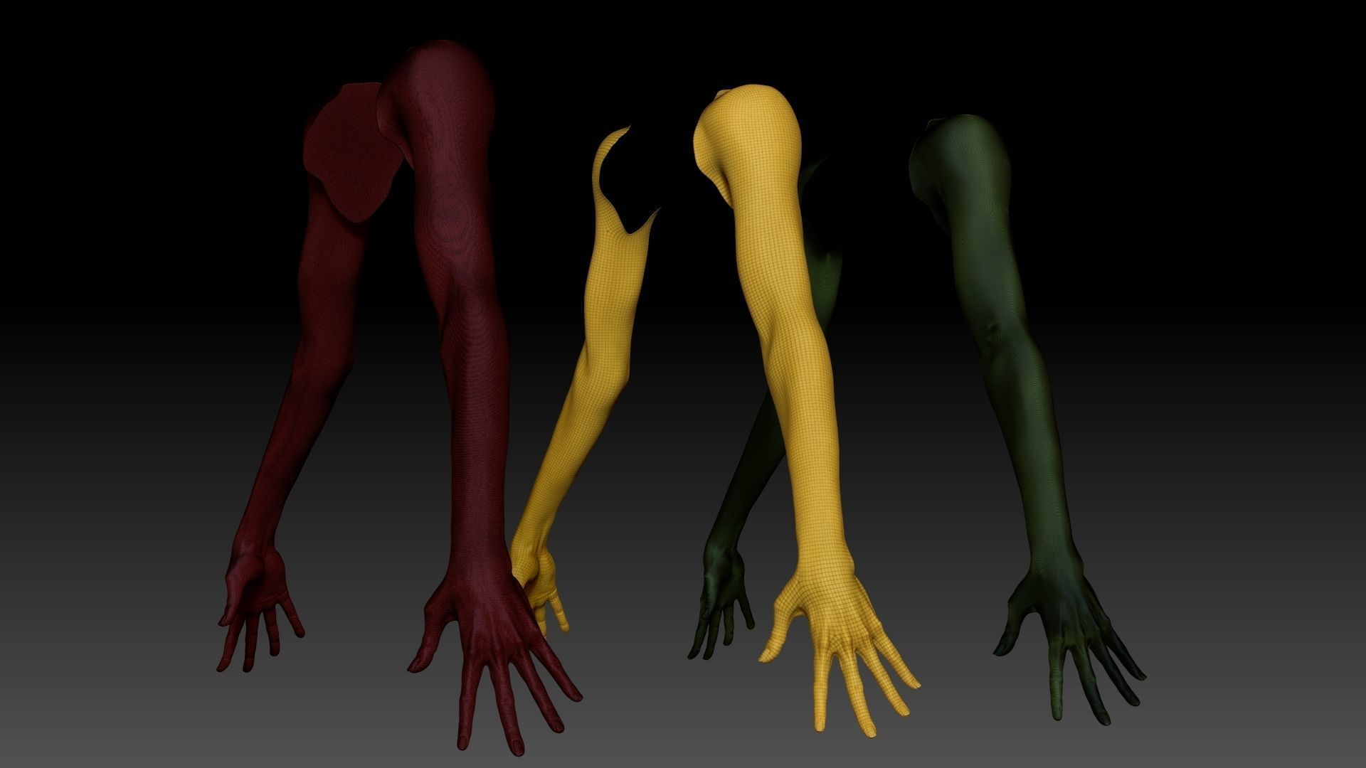 Female Pro Arm Sculpt Project 3D model_13
