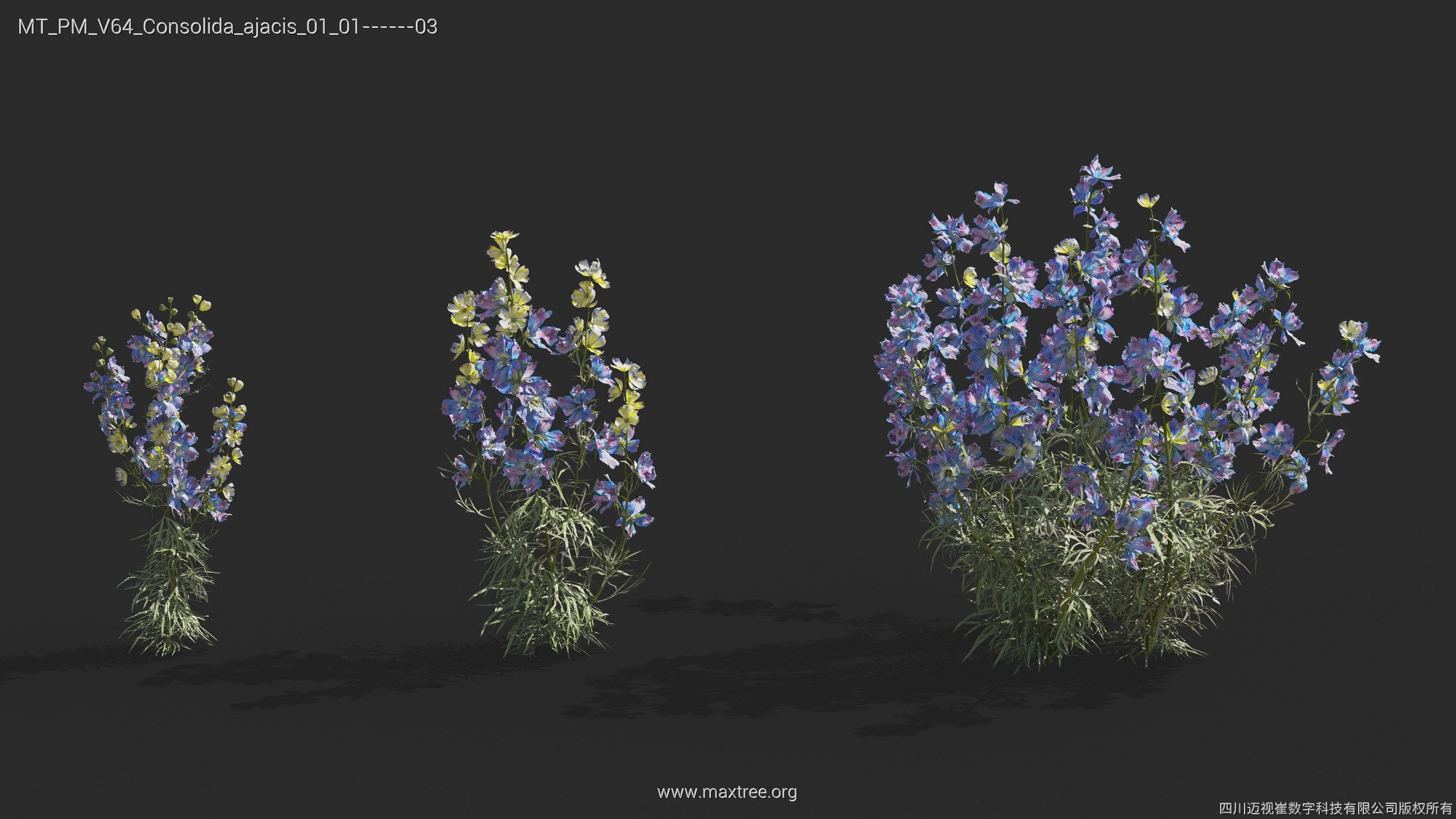 Maxtree Plant Models Vol 64 - Mesh 3D model_7