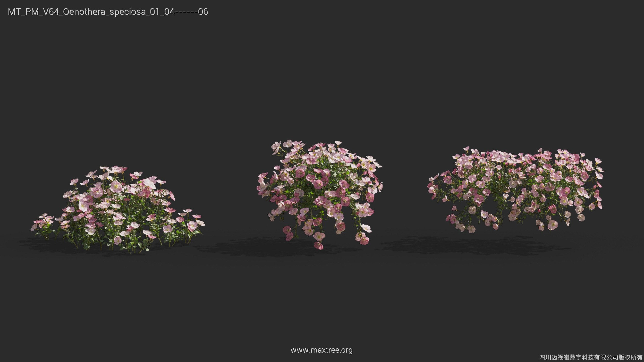 Maxtree Plant Models Vol 64 - Mesh 3D model_20